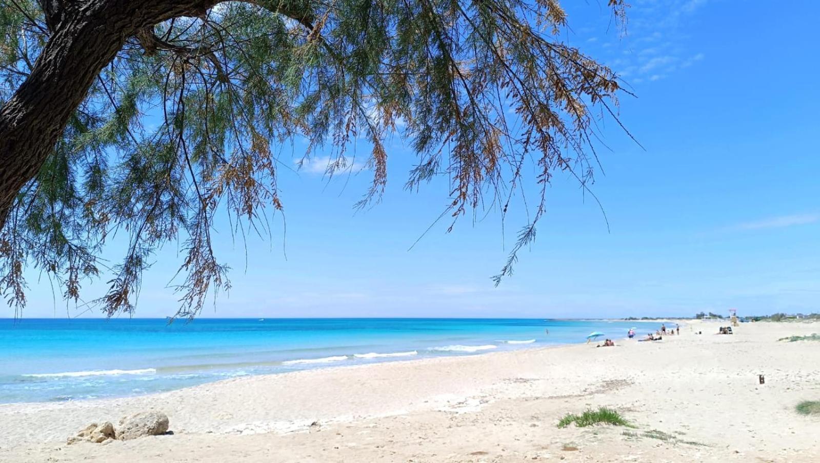 Casa al mare Le Dune Lido Marini Esterno foto